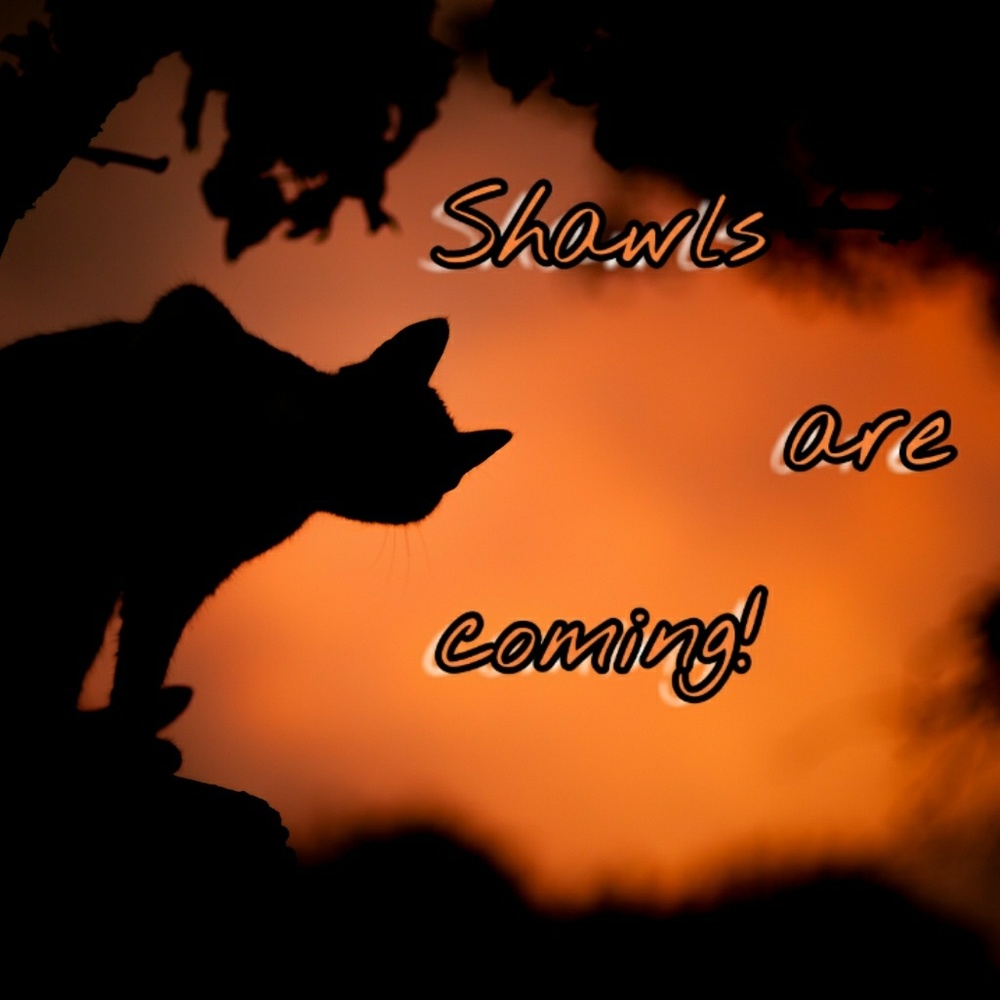 Knitted shawls are coming!